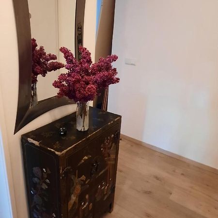 Schone Wohnung In Der Grazer Innenstadt Екстериор снимка