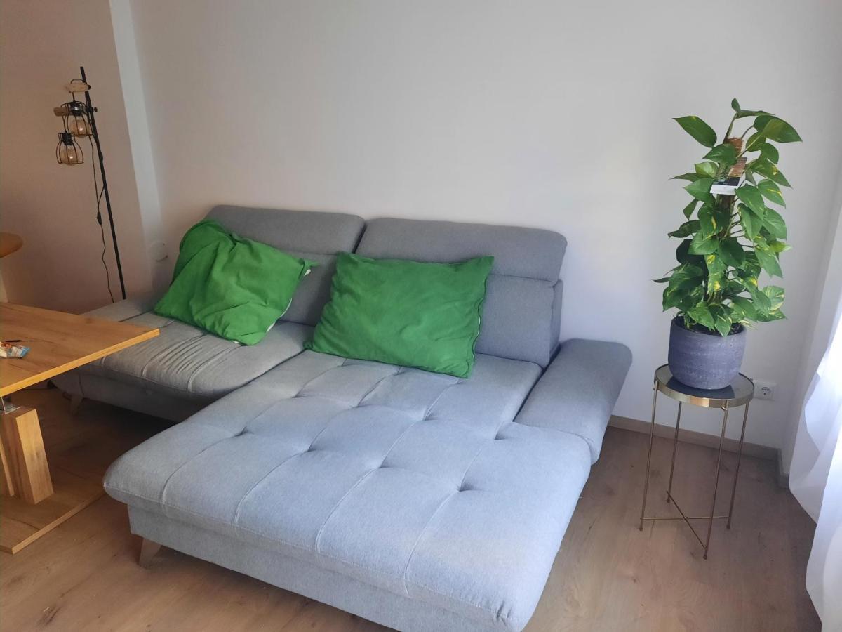 Schone Wohnung In Der Grazer Innenstadt Екстериор снимка