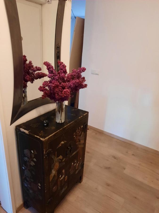 Schone Wohnung In Der Grazer Innenstadt Екстериор снимка